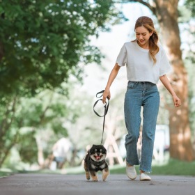 a person walking a dog on a leash